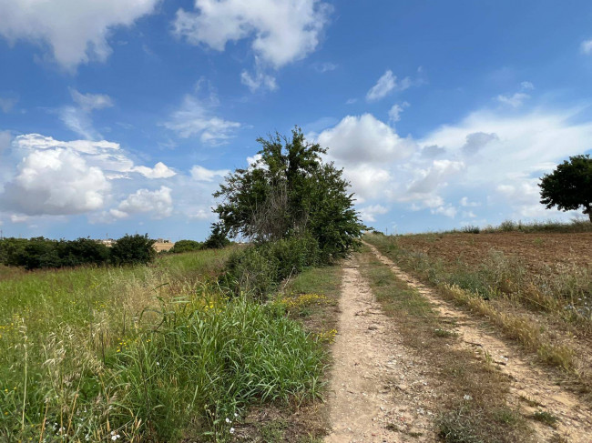 Terreno in vendita a Brindisi