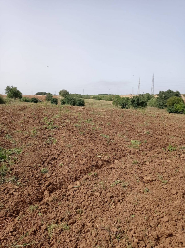 Terreno in vendita a Brindisi