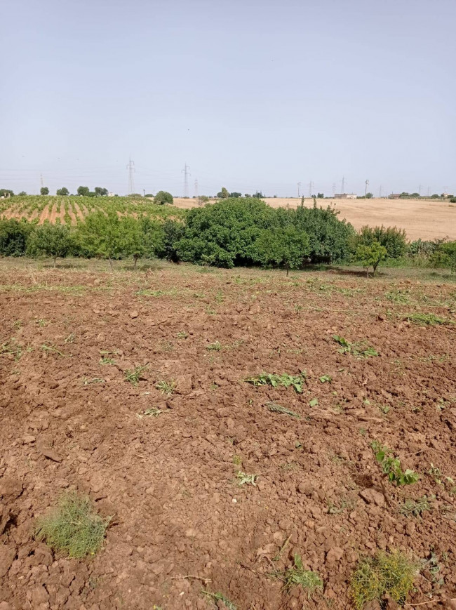 Terreno in vendita a Brindisi