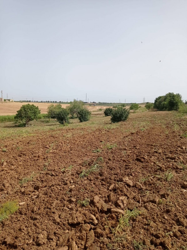 Terreno in vendita a Brindisi