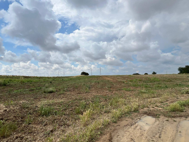 Terreno in vendita a Brindisi