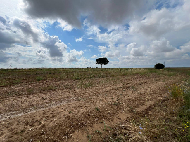 Terreno in vendita a Brindisi