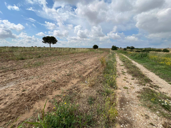 Terreno in vendita a Brindisi