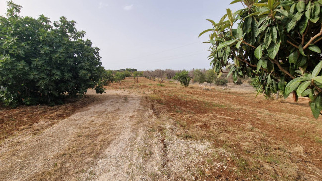 Villa singola in vendita a Brindisi