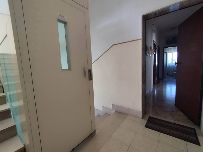  for sale in Brindisi