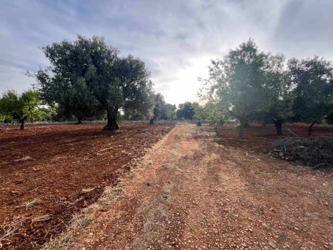 trullo in vendita a Ceglie Messapica