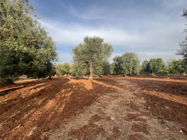 trullo in vendita a Ceglie Messapica