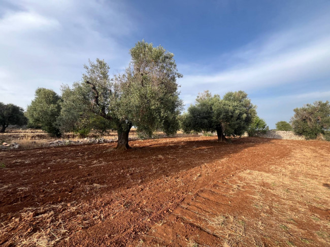 trullo in vendita a Ceglie Messapica