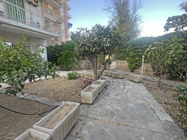  for sale in Brindisi