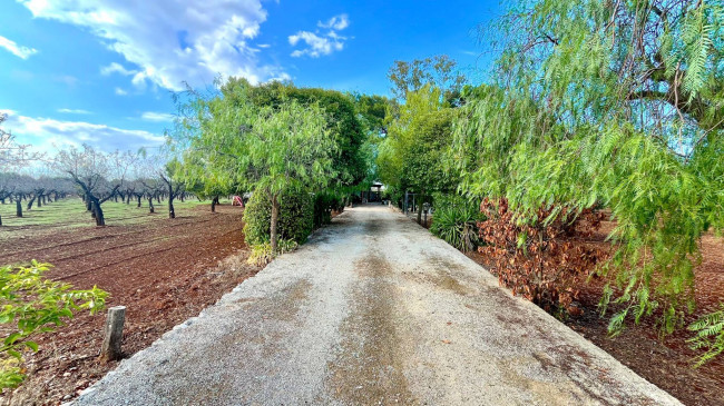 Baita/Chalet/Trullo in vendita a Latiano