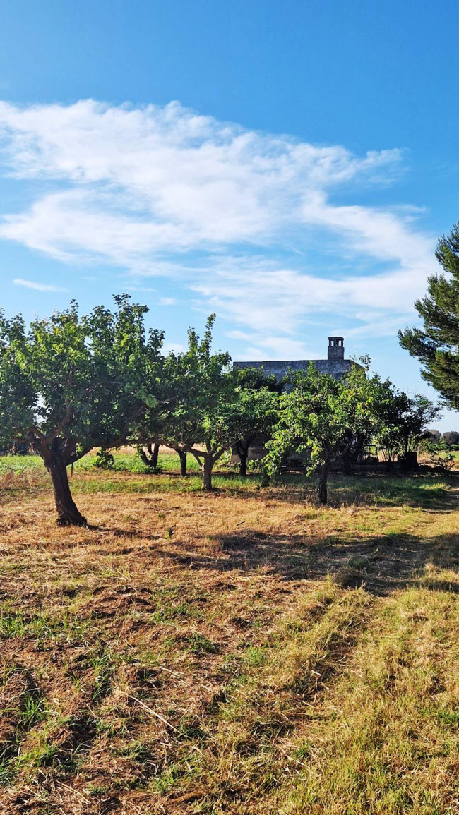 Terreno agricolo in vendita a Mesagne (BR)