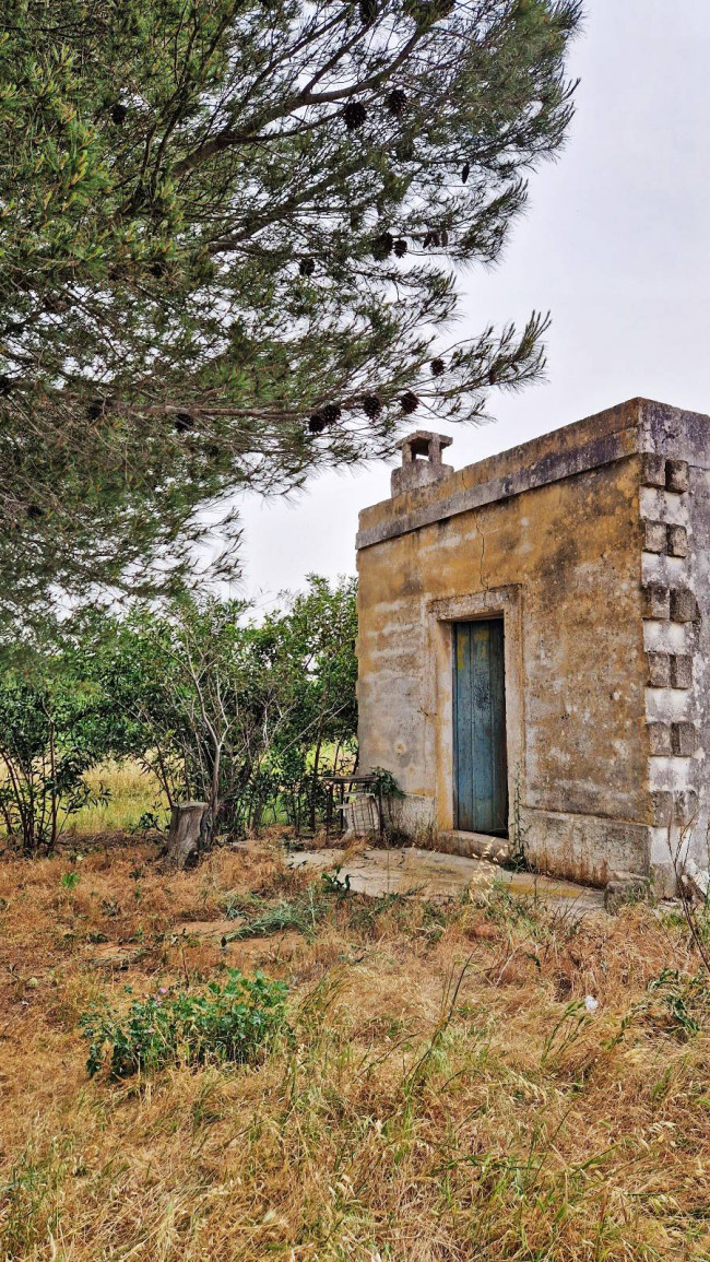 Terreno agricolo in vendita a Mesagne (BR)