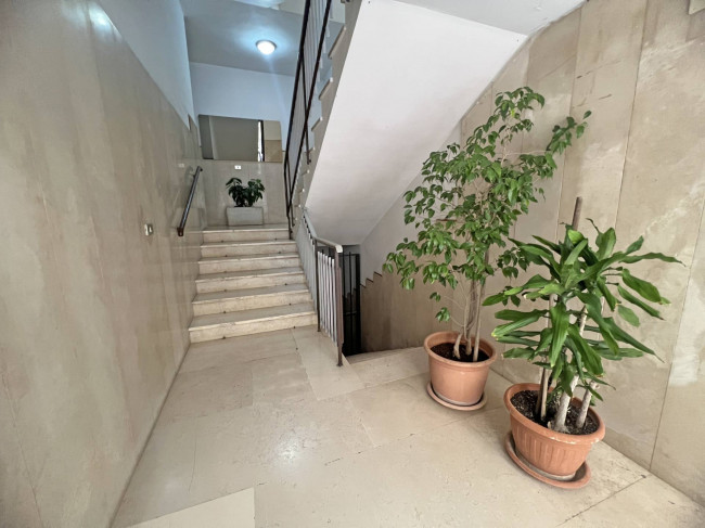  for sale in Brindisi