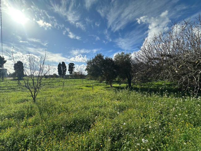  for sale in Brindisi