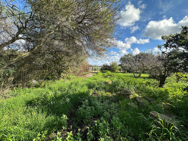  for sale in Brindisi