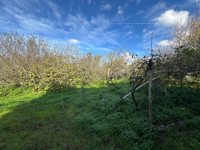  for sale in Brindisi