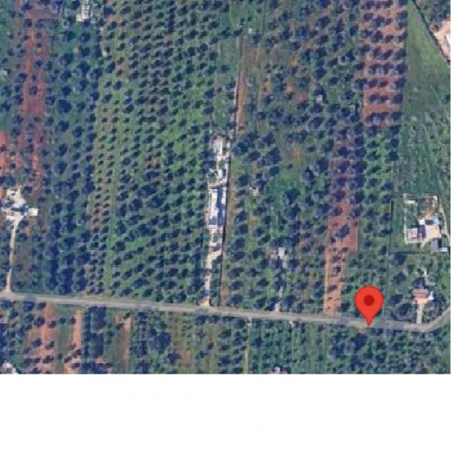  for sale in San Vito dei Normanni