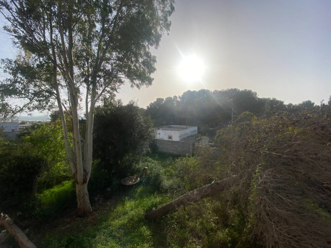 Casa Indipendente in vendita a Torricella
