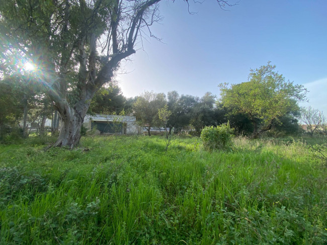 Casa Indipendente in vendita a Torricella