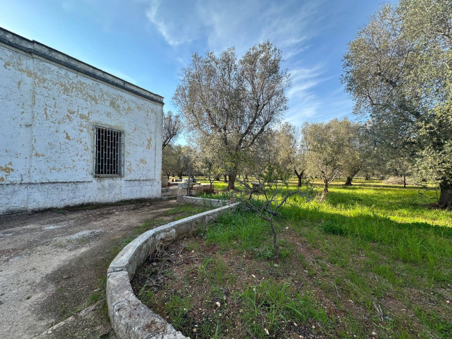 Rustico in vendita a Francavilla Fontana