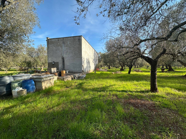 Rustico in vendita a Francavilla Fontana