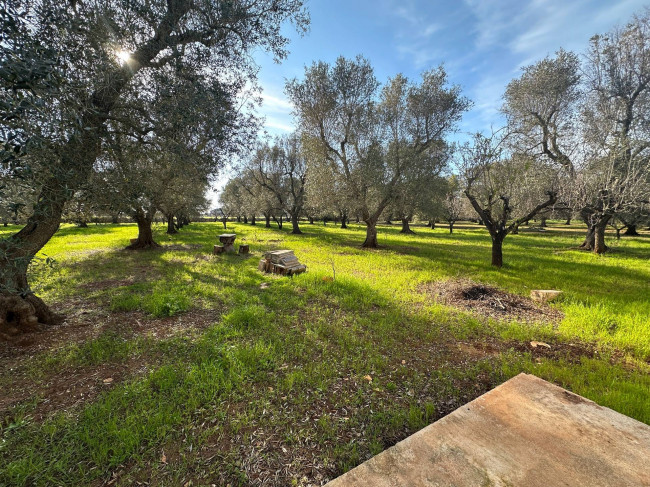 Rustico in vendita a Francavilla Fontana
