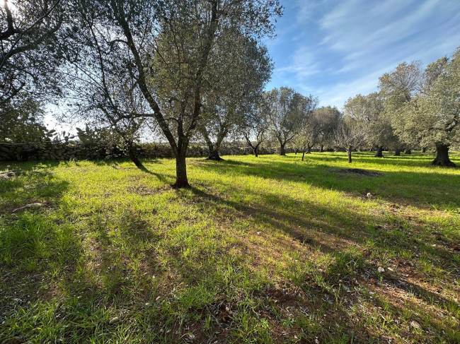 Rustico in vendita a Francavilla Fontana