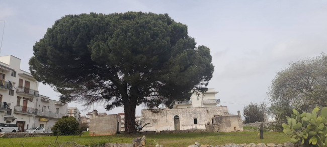 Terreno Edificabile in vendita a Ceglie Messapica