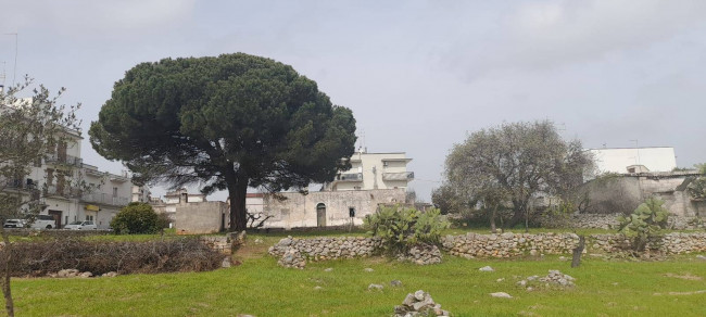 Terreno Edificabile in vendita a Ceglie Messapica