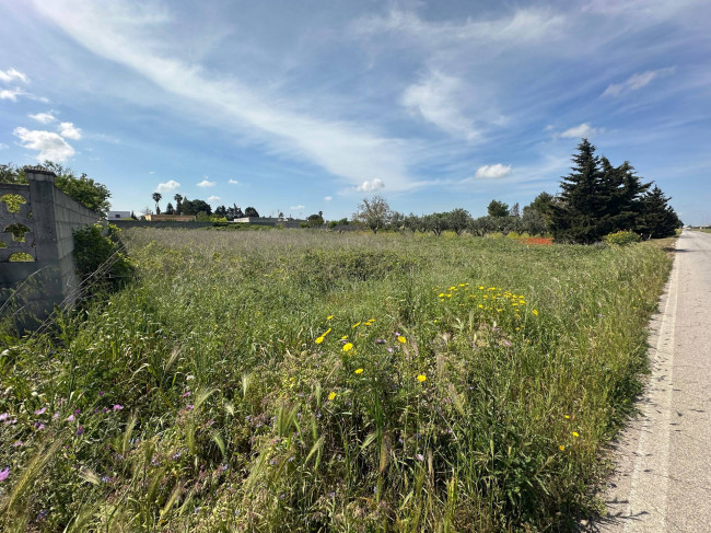 Terreno in vendita a Brindisi