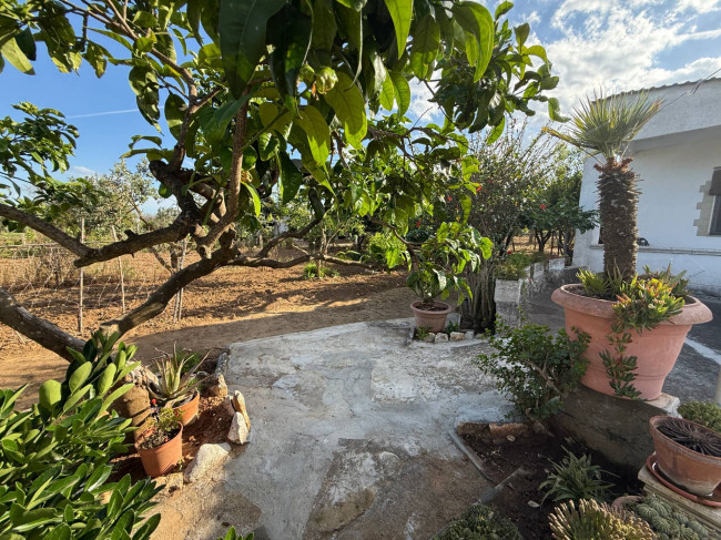 Villa o villino in vendita a Mesagne