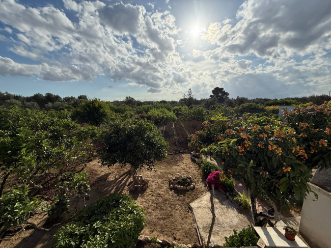 Villa o villino in vendita a Mesagne
