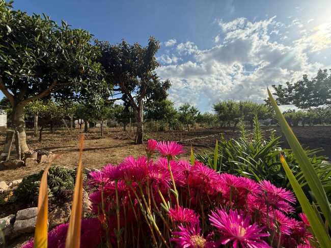 Villa o villino in vendita a Mesagne