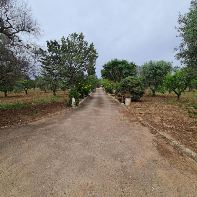 Villa o villino in vendita a San Vito dei Normanni