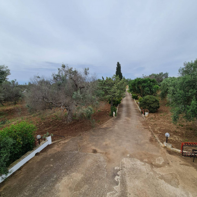 Villa o villino in vendita a San Vito dei Normanni