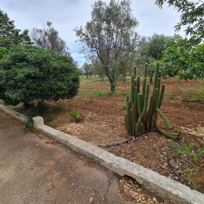 Villa o villino in vendita a San Vito dei Normanni
