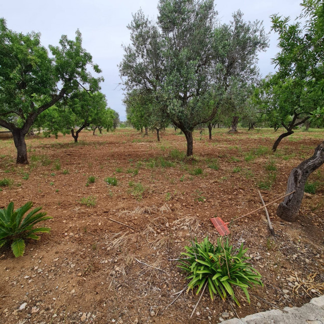 Villa o villino in vendita a San Vito dei Normanni