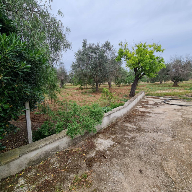Villa o villino in vendita a San Vito dei Normanni