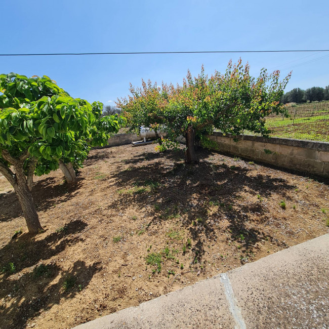 Villa o villino in vendita a Mesagne