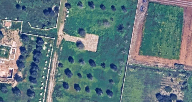 Terreno in vendita a Carovigno