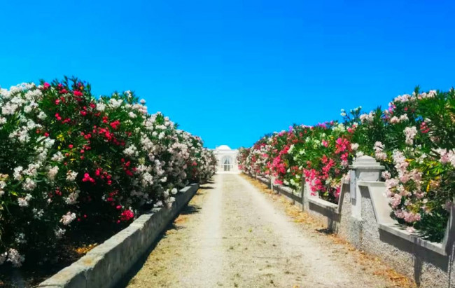 Baita/Chalet/Trullo in vendita a Ostuni