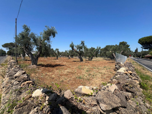 Terreno Edificabile in vendita a Mesagne