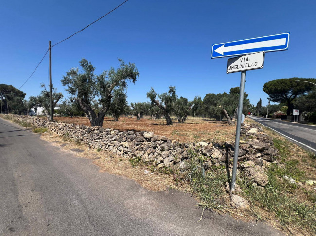Terreno Edificabile in vendita a Mesagne