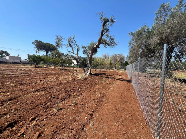 Terreno Edificabile in vendita a Mesagne