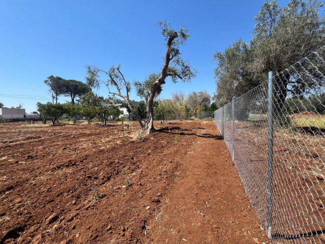 Terreno Edificabile in vendita a Mesagne