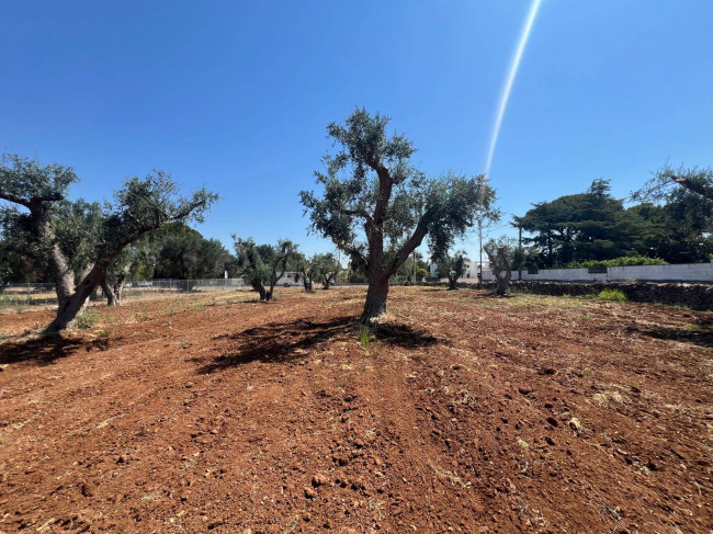 Terreno Edificabile in vendita a Mesagne