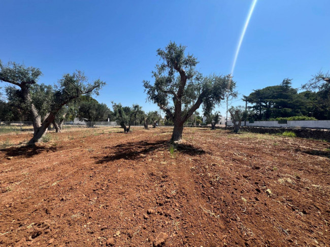 Terreno Edificabile in vendita a Mesagne