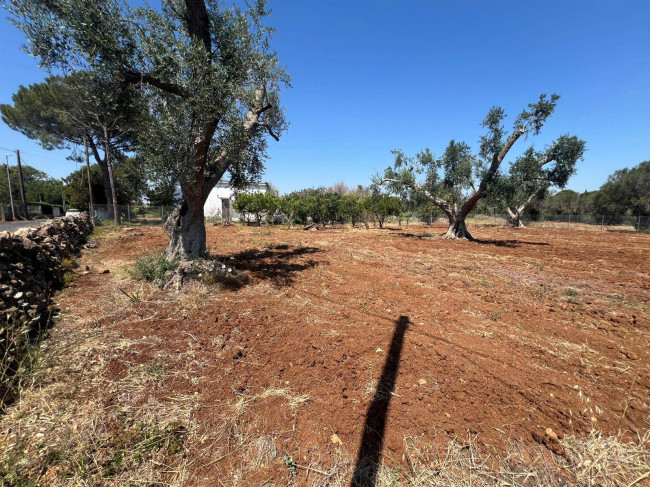 Terreno Edificabile in vendita a Mesagne