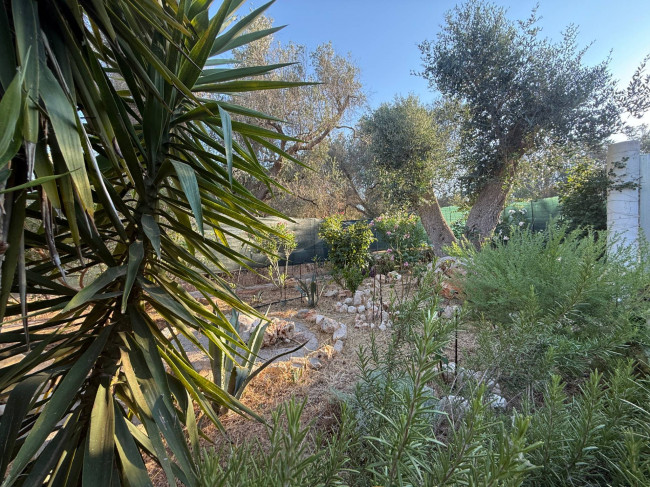 Villa o villino in vendita a Latiano