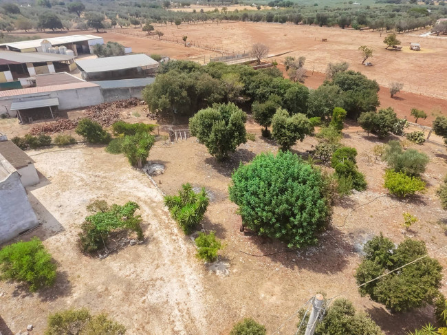 Cascina/Casale in vendita a Carovigno